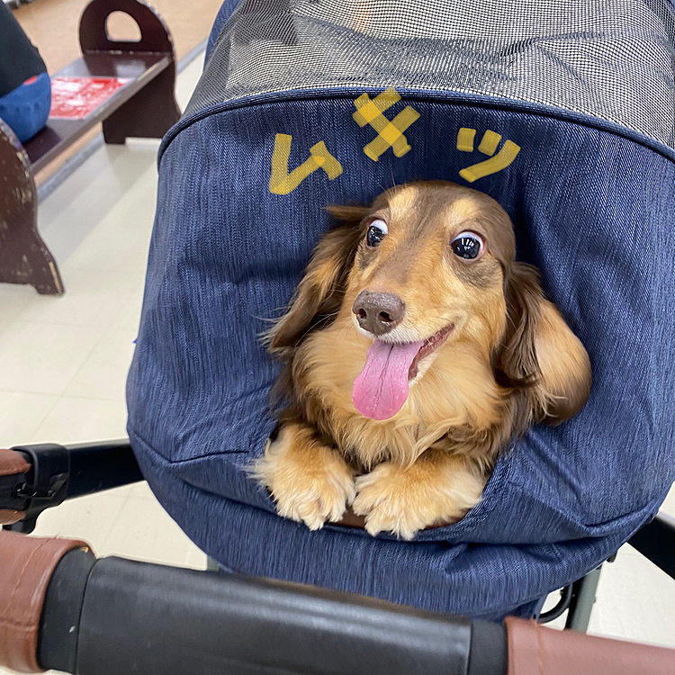 小さい穴から顔出すから目ひんむいてるし…🤣