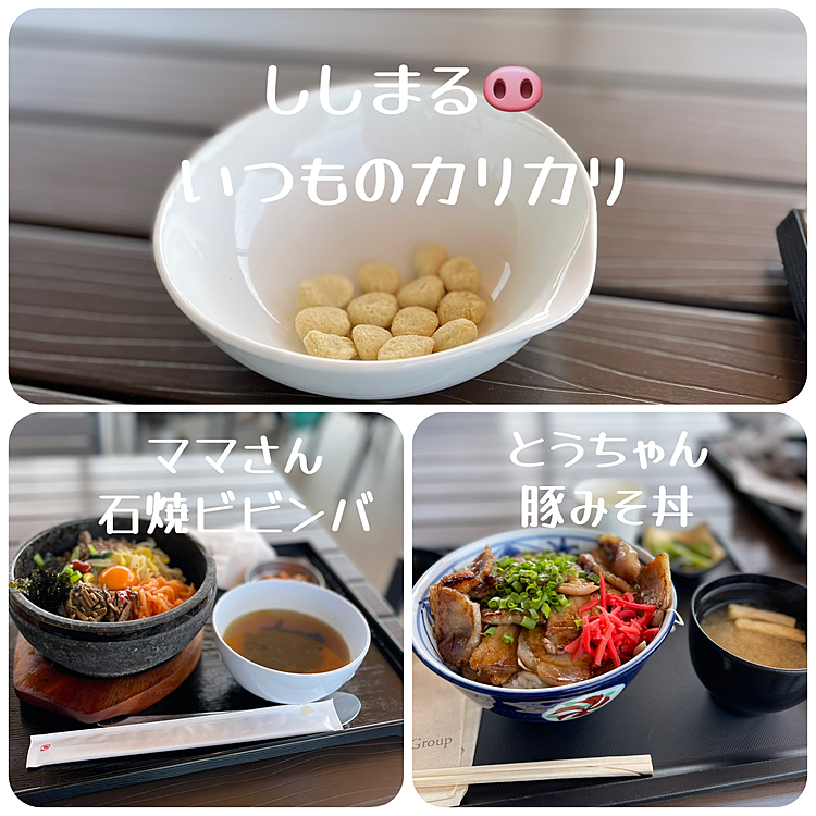 ランチはやっぱりいつものカリカリ🐽💢