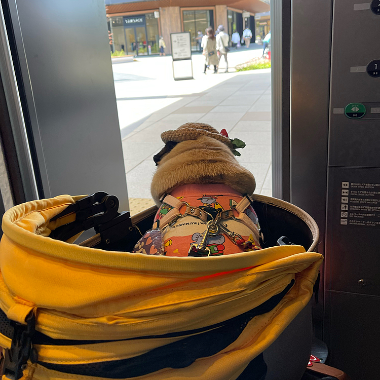 エレベーター初体験🛗
