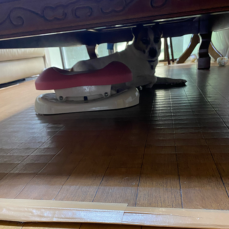 えっ⁉️今から座卓の下、お掃除するんですけど、、😅