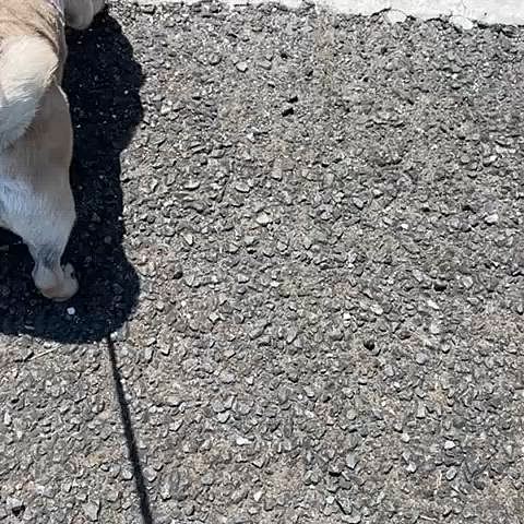 🚗降りたら受付へ💨