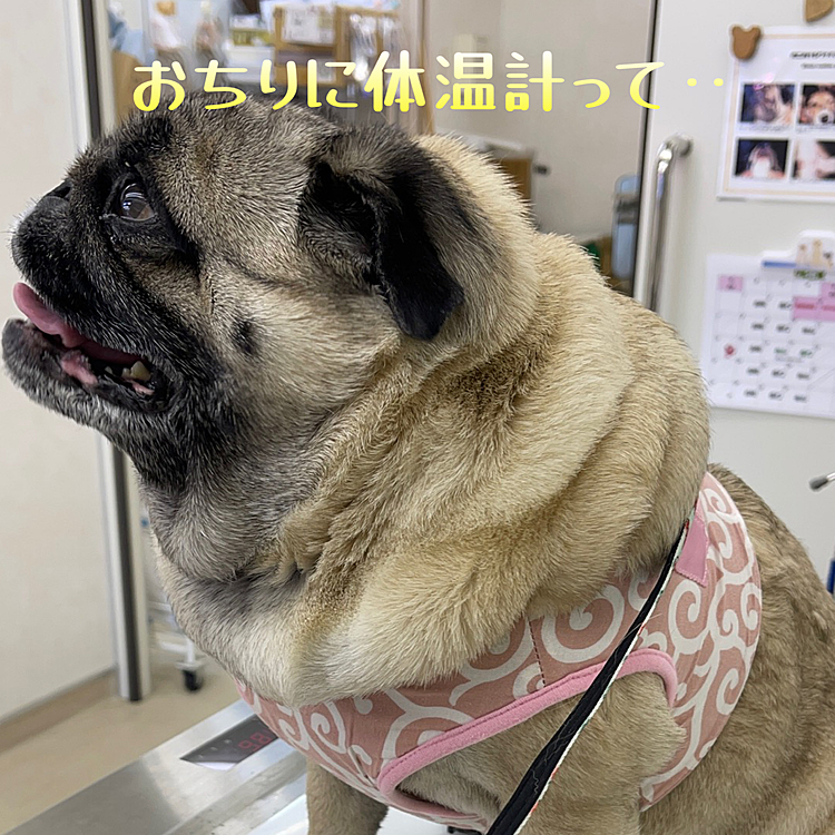 まずは健康チェック