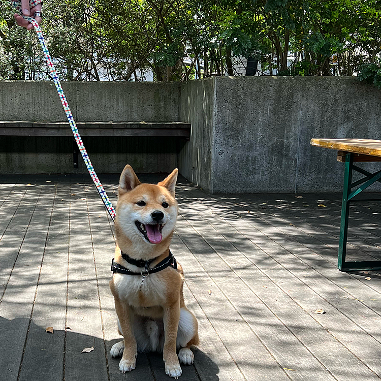 2023.05.02(火)
櫂も一緒にランチ🍽️してきました😊
