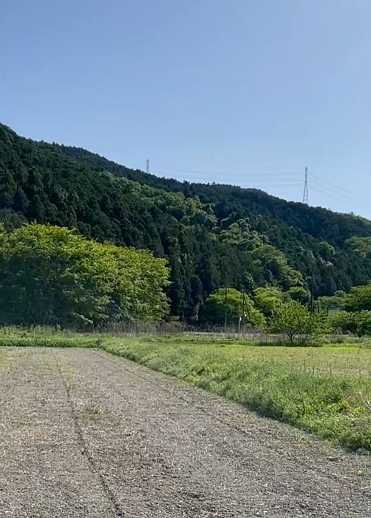 山あいのお散歩楽しみました🐾