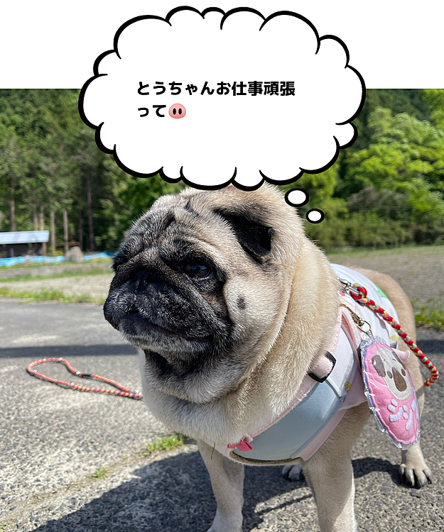 明日は5連休明けのお仕事です😅