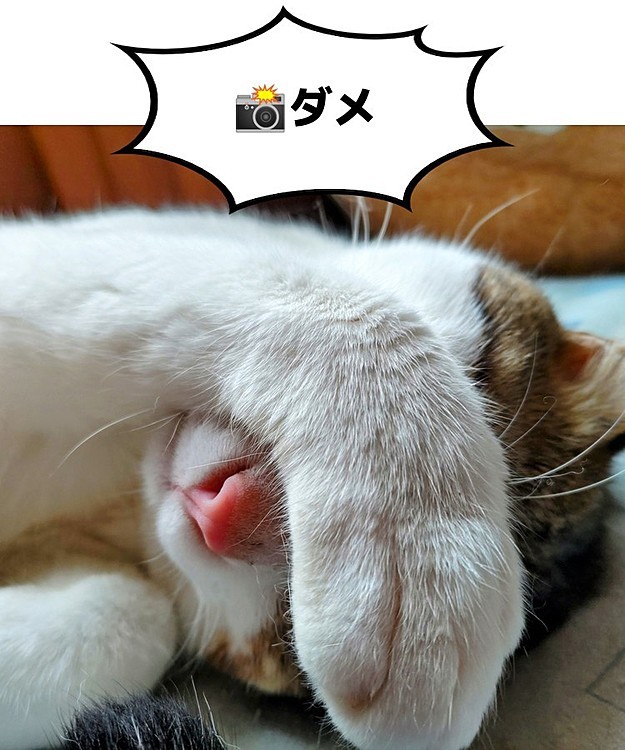 そらの投稿
