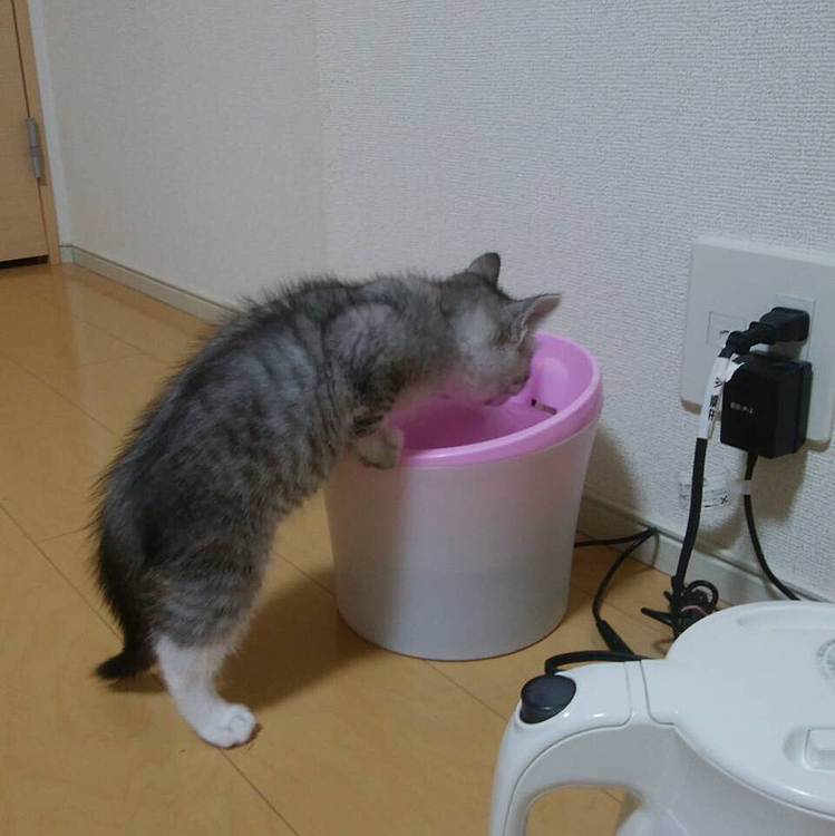 独特な飲み方（笑）