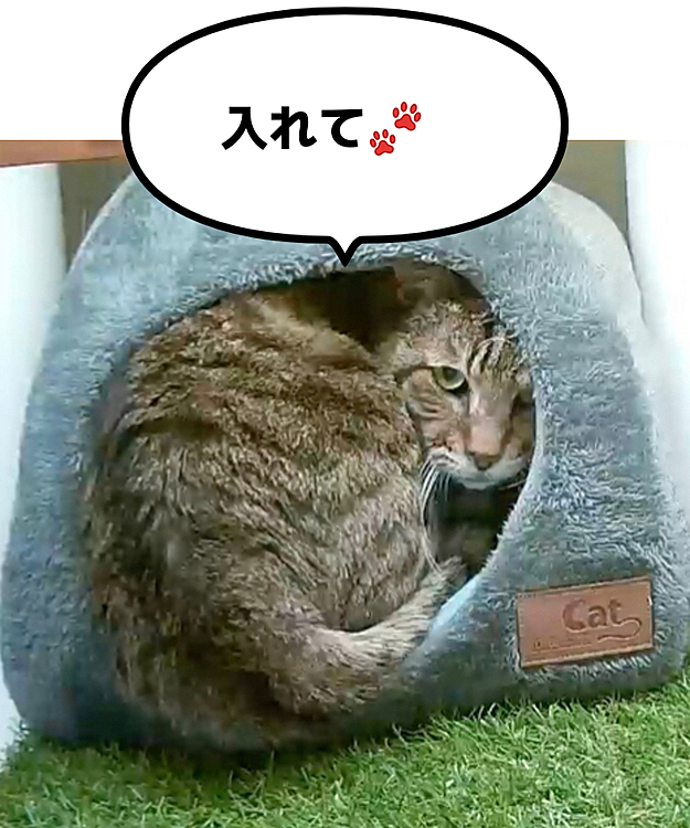 奥にまーちゃんいます😳
おひとり様用なのに…😔