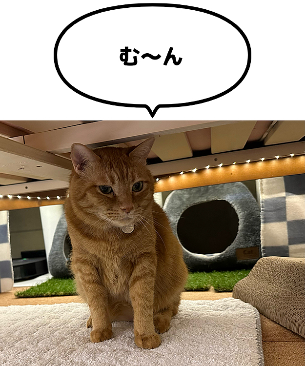 まーちゃん、おこ😡