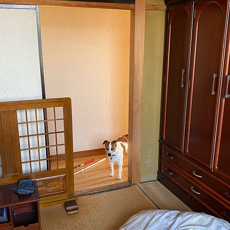布団を上げて掃除しようとしてたら、家政婦は見た❗️のように、覗いていた😅