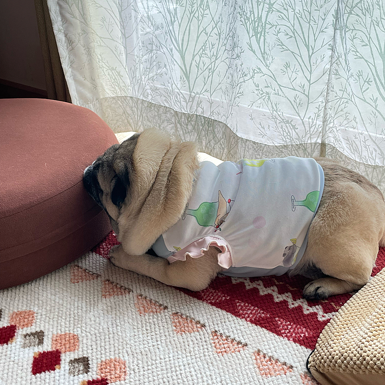 お疲れモードでアゴのせ🐽