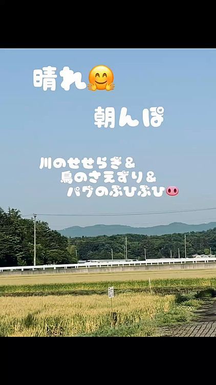 川のせせらぎ＆鳥のさえずりに囲まれ気持ちよくお散歩しました🐽