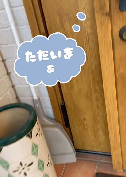帰ったら玄関までお出迎えしてくれました☺️
飼い主大喜び❣️