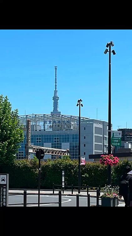 久しぶりに新幹線乗って🚅科学博物館の恐竜博へ