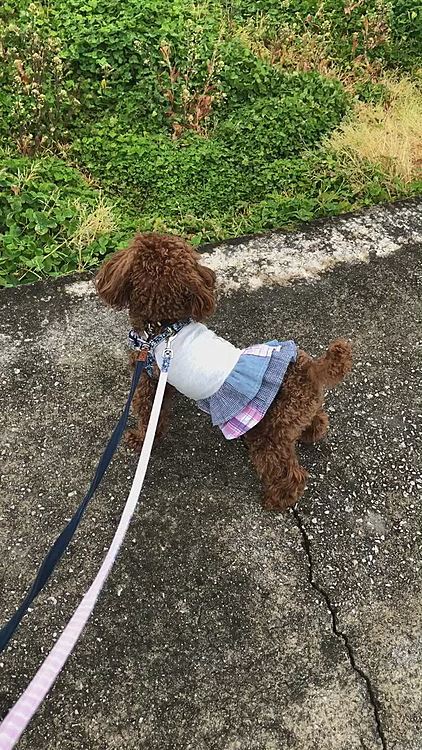 桃ーっ
歩いてー👵