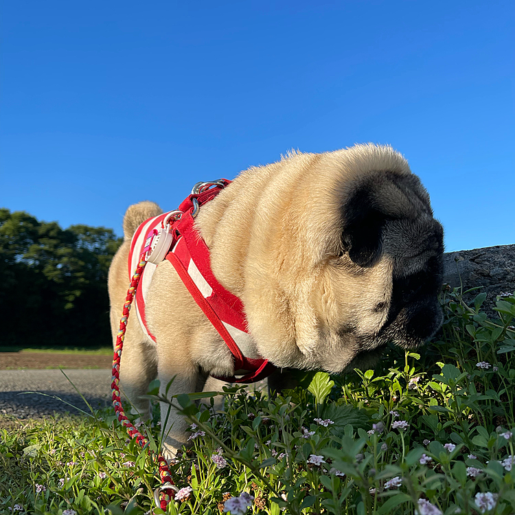 雲ひとつない快晴☀️