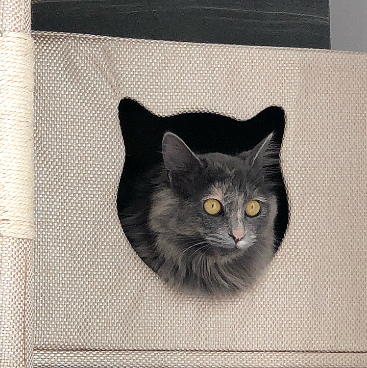 何狙ってるのー😂
目が怖いですよー
