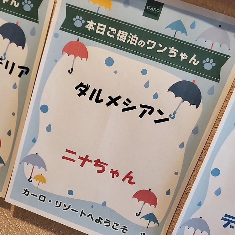 ホテルには名前が書いてあって嬉しかったです🐕