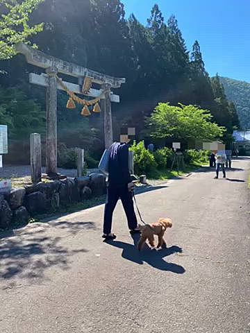 すぐ側に川が流れているので少し水遊び🏞️

透明度が高く水も冷たく気持ち良かったけど水が苦手なハッピーは微妙な感じ💦

同日の夕方にこの近辺で遊んでいたブラジルの方が亡くなったとニュースで見て川は甘く見てはいけないと改めて思いました。

ここから義実家は30分ほどなので立ち寄り、オヤツ貰って可愛がって貰った後は我が物顔でお昼寝💤
