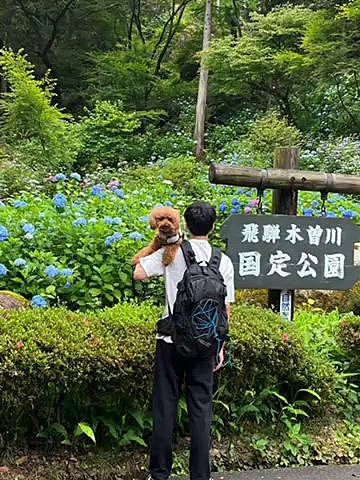 18(日)
こちらは何度も訪れている『鬼岩公園』👹
花こう岩の巨石が織り成す景勝地で30分ほど頑張って登るとこの絶景♪

岩の上で食べるおにぎりとひやむぎが最高に美味しく感じます🍙🍜
