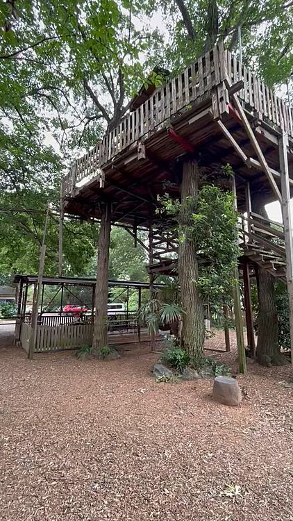 森の中のドッグラン、気持ちいいですよ🌳