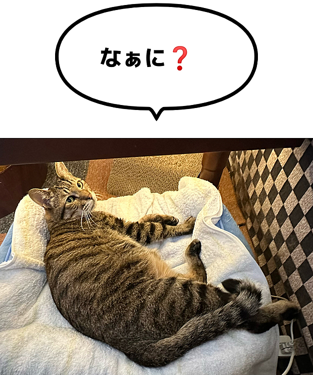 呼んだら振り向いてくれました😆