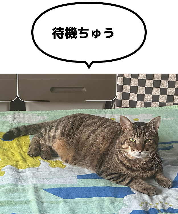 ベッドの上で休んでます😊