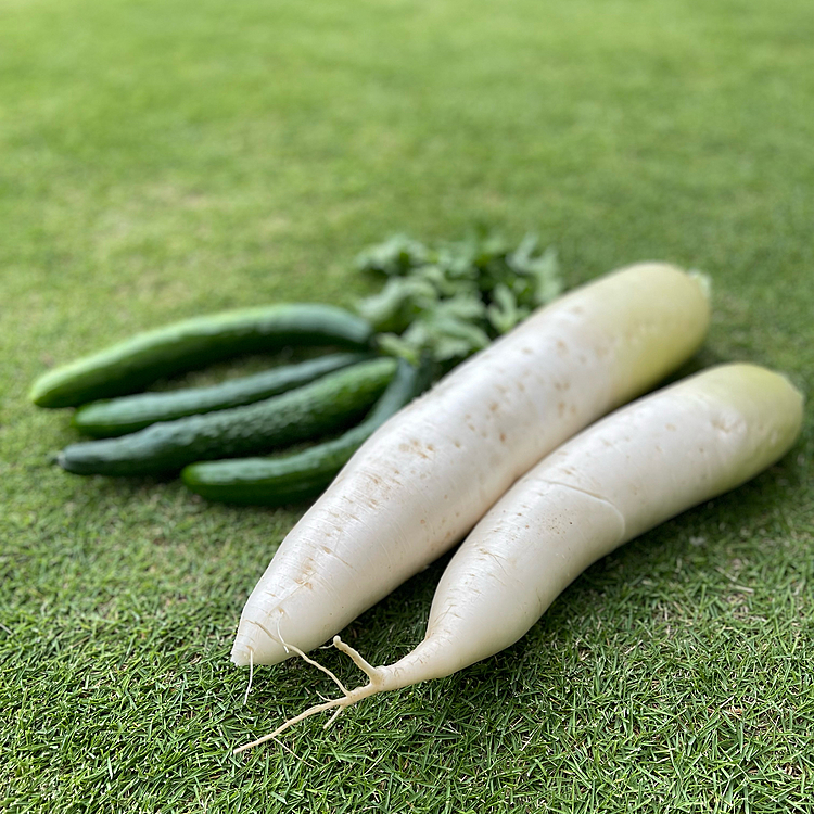 お散歩途中でご近所さんから朝採れ野菜いただきました🥬🥒