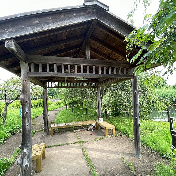 途中、沼のほとりの東屋でクールダウン🧊