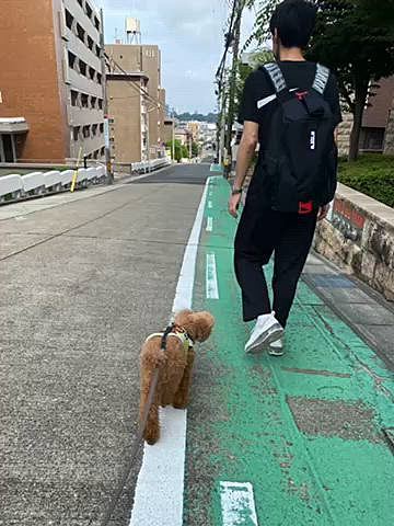 今日は午後から雨予報で朝からどんより☁️
お散歩がてらピザモーニングへ🍕

元々500円でドリンク☕️とピザ🍕だったのが、2ヶ月前に行った時は600円、そして800円になっていました😭
ハッピーにチーズのサービス🧀

明日だと思っていたトリミングがまさかの今日で焦りましたが、モーニングの場所から近いので助かりました😅

ハッピーがいない間に久々に味仙の台湾ラーメン🍜とニンニクチャーハン食べました🧄

帰宅後はお昼寝💤
せっかく綺麗になったのにまた足先ペロペロしてビチョビチョ💧