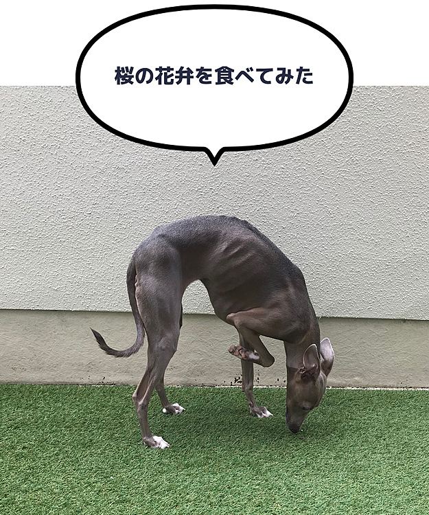 Teety-wooの投稿
