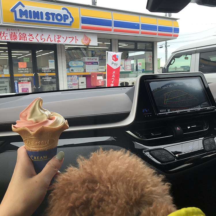 ミニストップの佐藤錦さくらんぼのソフトクリーム🍒
美味しかったです🍦