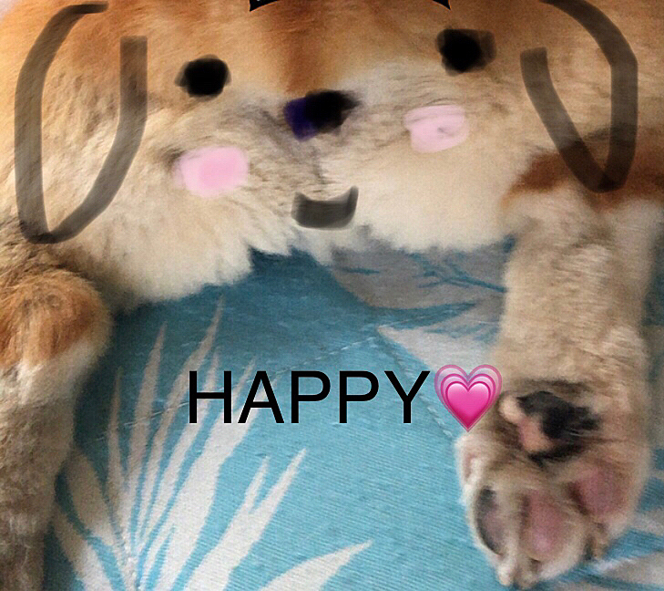 今流行り⁉️のまあるくんチャレンジ😆
