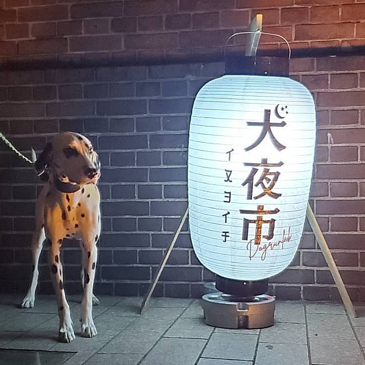 犬夜市に行きました🐕