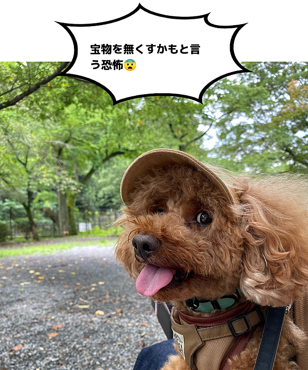 帰り道急にエアコン付けて出たか不安に襲われました🐶
暑いからいつもより0.5度温度を下げてピッと電源入れた気もするけどランプの確認はしなかったかも😢
よりによって今年1番の暑さ39度予報😱
30分の道中は生きた心地しなかったけど、きちんとエアコンは付いてました😭
良かった〜😮‍💨