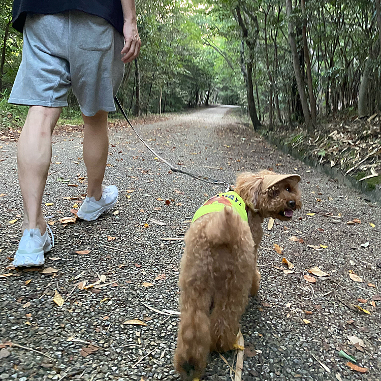 13(日)連休最終日

今日は5時に起きてゆっくり朝んぽ🐾
家からすぐの1万歩コースをチョイス🚶

途中でお腹がキリキリ・・・💦
そうだ昨夜激辛の麻婆豆腐を食べていた💡
引き返すも自宅まで20分以上はかかる😫