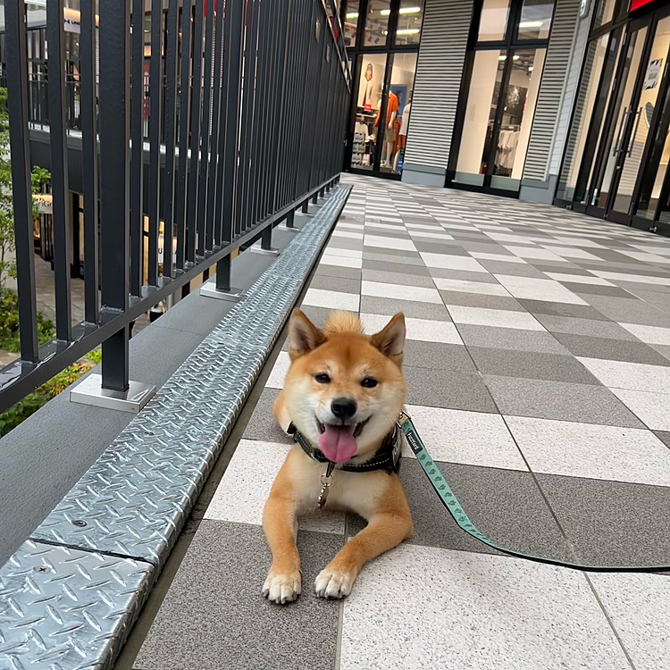 なんとか雨にも降られず、一緒にお買い物を楽しめました♪