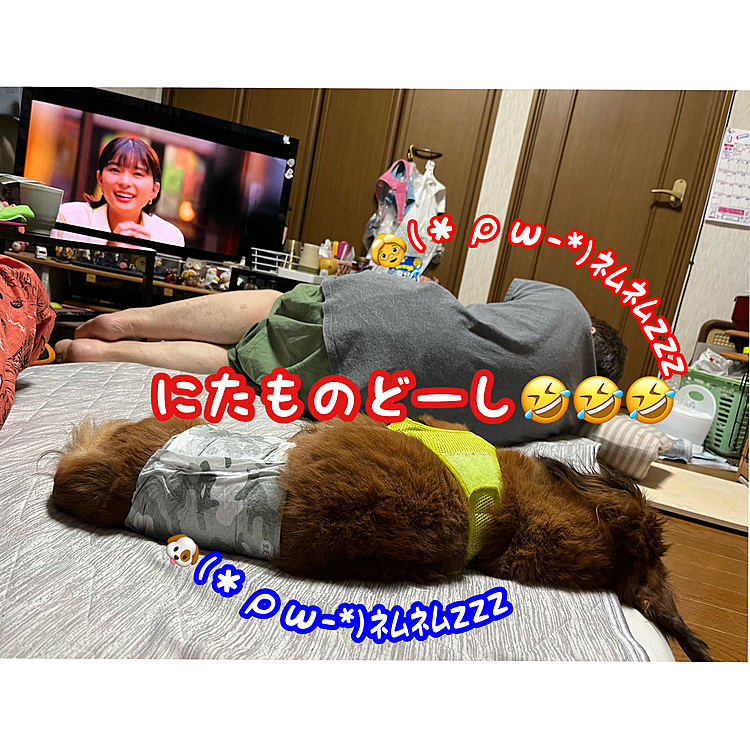 ウチのお袋👵とココﾁｬﾝ🐶(笑)
よく似てます🤣🤣🤣