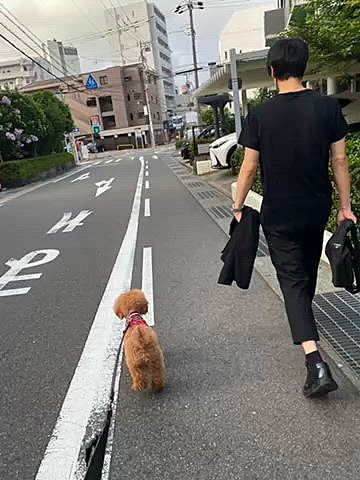 19(土)パパさん午前のみ出勤
お見送りがてらお散歩🐾
メタセコ広場のお友達と会ったので一緒にご近所散歩🐶
コッカーちゃん暑くてペターンしてクールダウン😉
ハッピーは外で伏せやオスワリしないんですがオヤツ貰う時だけはオスワリします🐶

夜はハッピーにお留守番してもらいナイトズーへ🦣🦒🦁
18時過ぎでも32度なので動物達も普通にグッタリ💦
ようやく日も落ちてライトアップされたと思ったら空がピカピカ⚡️⚡️
ゲリラ雷雨とか困るので急いで帰宅しました😅