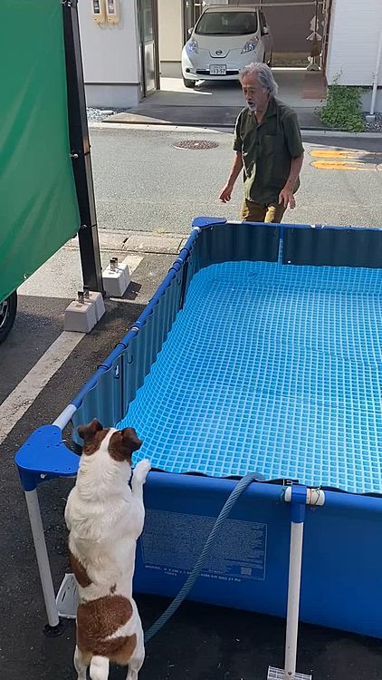 脱走しないのはいいけど、飼い主、無視⁉️🤣🤣🤣