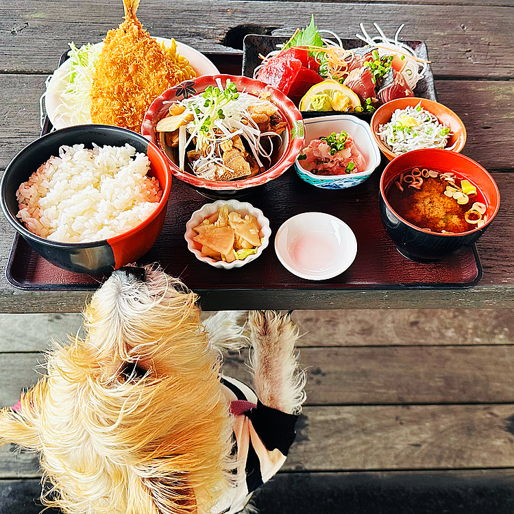 帰りにワン友から教えてもらった定食屋さんへ🚗³₃このボリュームで￥１，７００👍