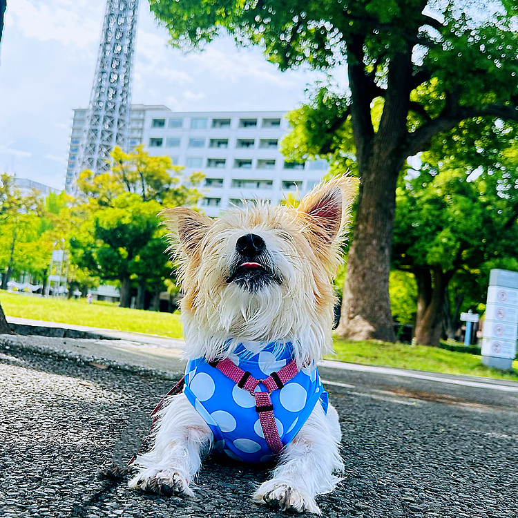 良い天気だね☀️