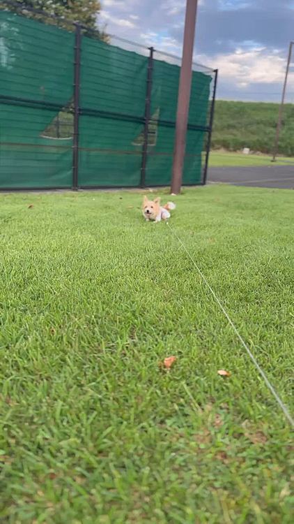 得意技▶︎ほふく前進👍👍👍