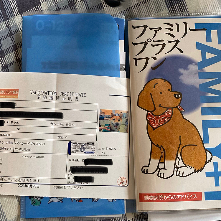 予防接種の証明書に写真入れてくれました❣️
これからの記録をしてくれる手帳も作ってくれました😊