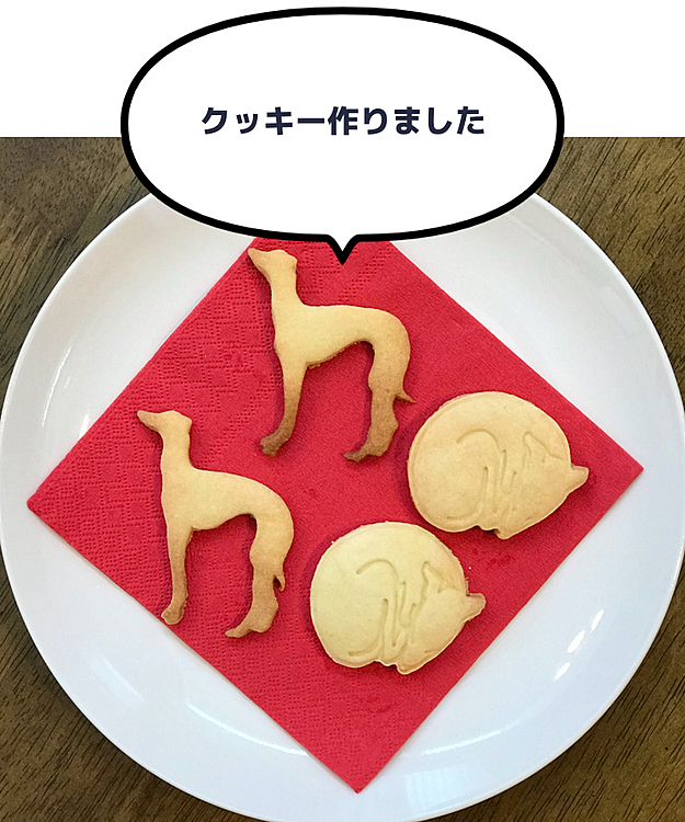 チャコちゃんクッキー💕を拝見して、
以前買っただけで満足してた型を思い出したので、巣ごもり中作ってみました✌︎✌︎✌︎