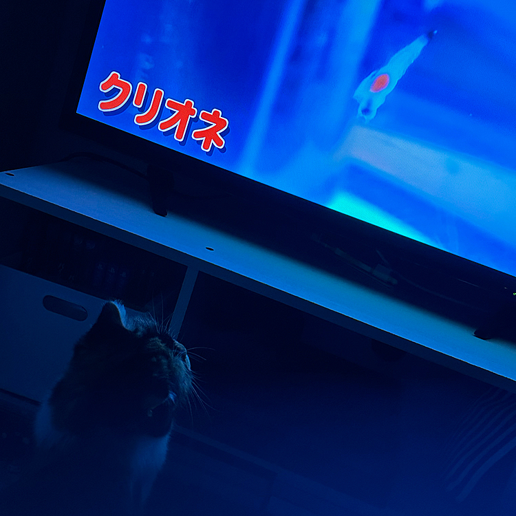 久しぶりの投稿です😉
動くものに興味があるみたいで
じーっとテレビの魚🐟をみてる笑