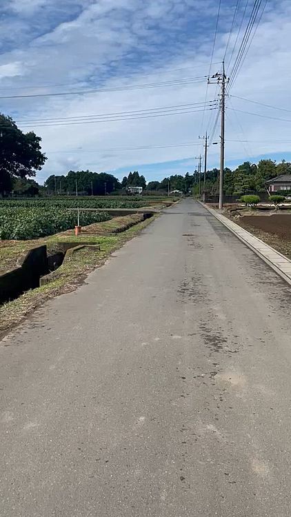 今日も元気に💩ダッシュ💨