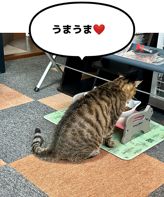 おいちーね❤️