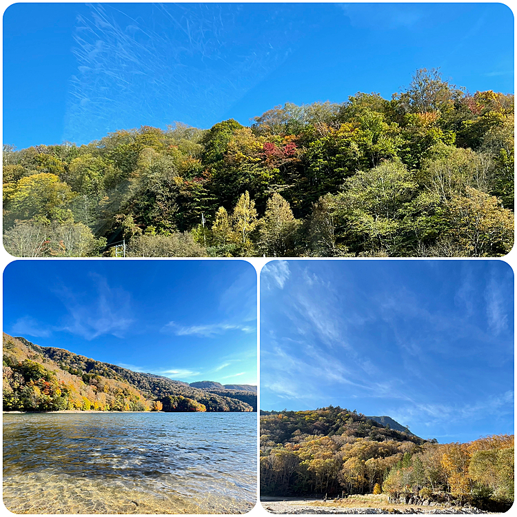 丸沼周辺も思っていたより色づきが進んでいて、今年も一家で紅葉狩り楽しめました🤗