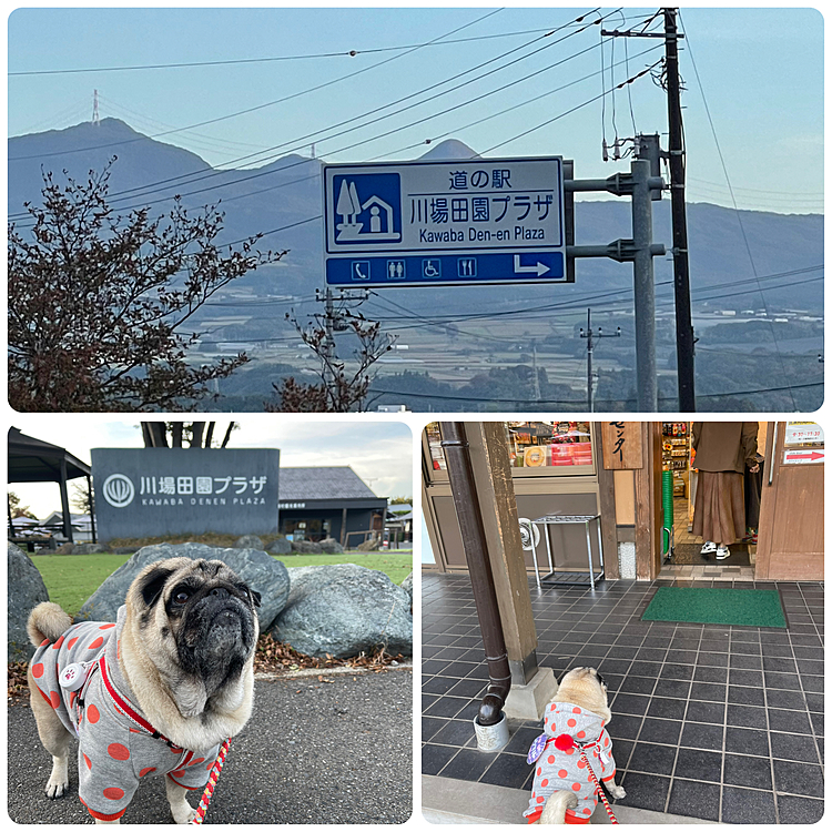 帰りは道の駅『川場田園プラザ』へ立ち寄りましたが、夕方でほとんどのお店が終了‥🥲